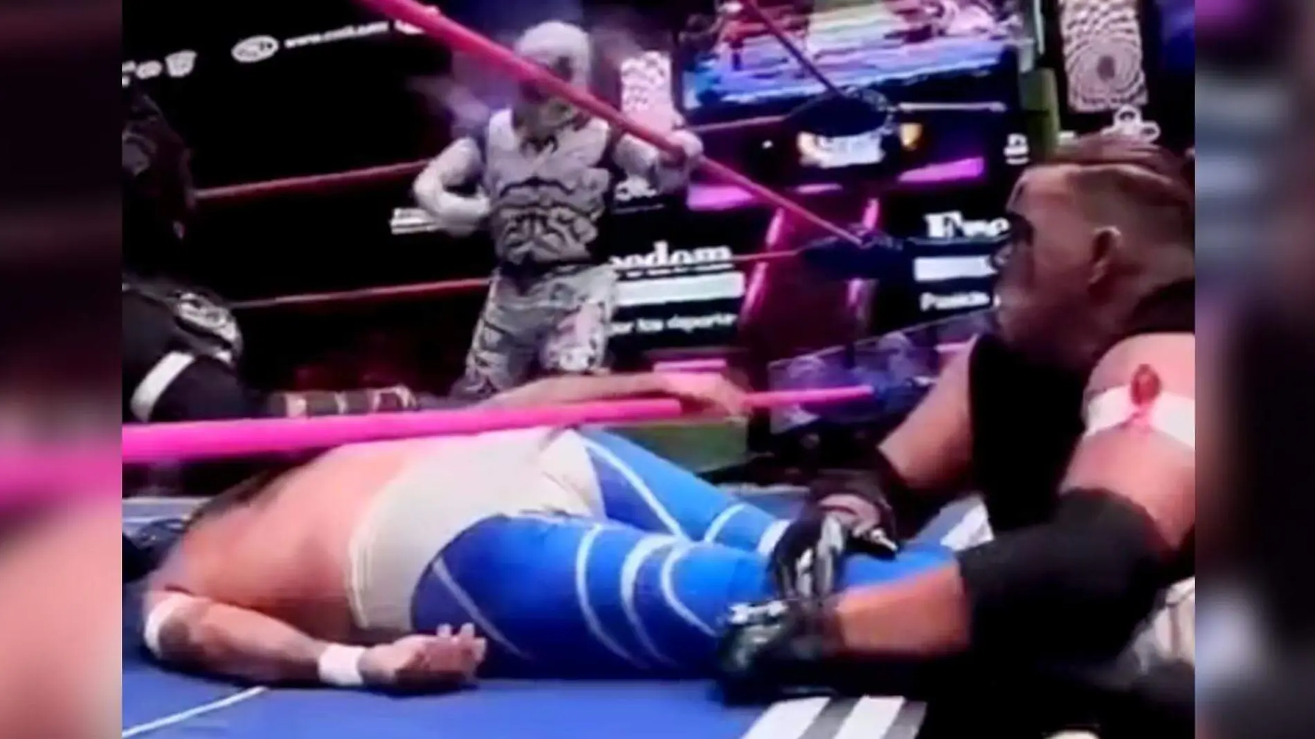 blue panther lucha